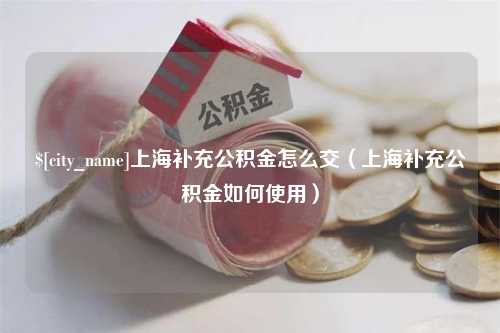 深圳上海补充公积金怎么交（上海补充公积金如何使用）